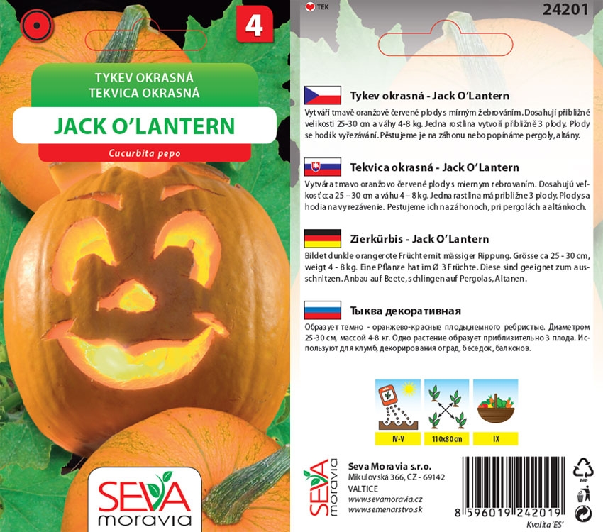 24201/4111 Okrasné tykv. Jack O'Lantern 10s