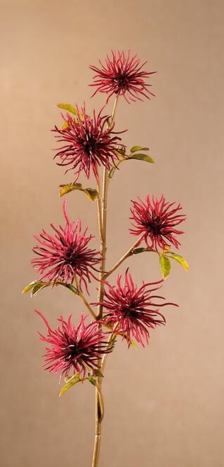 Levně Dry Mini Xanthium 53 cm červená F258-R