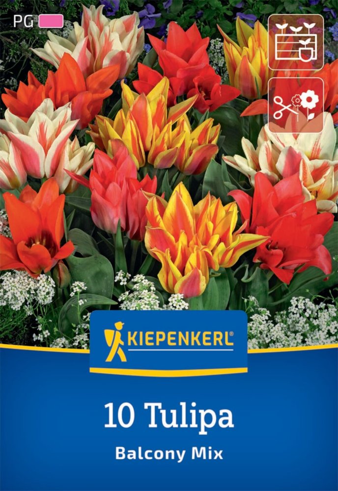 Levně 2000017/8404 Tulipány balkónové vícekvěté směs 10ks