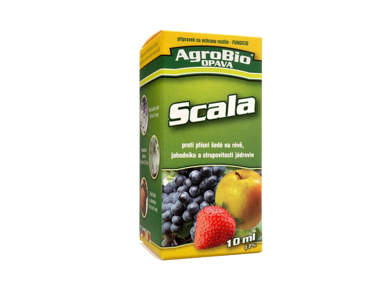 Scala 10ml