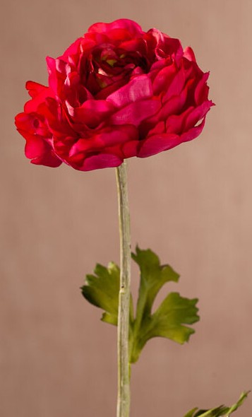 Levně New Ranunkulus (Pryskyřník) 51 cm beauty F409-R