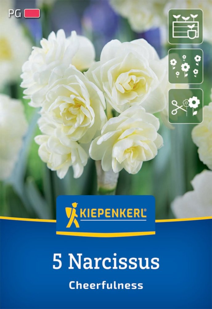 Levně 2450001/7702 Narcisy Cheerfulness 5ks