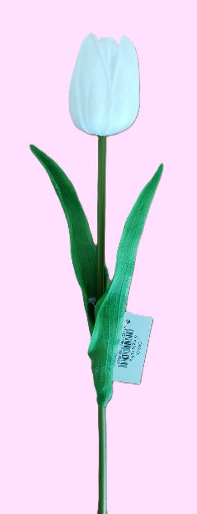 Levně Tulipán G93-01 bílý