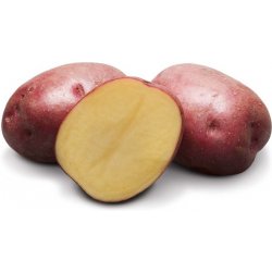 Levně Sadba brambor Camel (pytel 5kg)