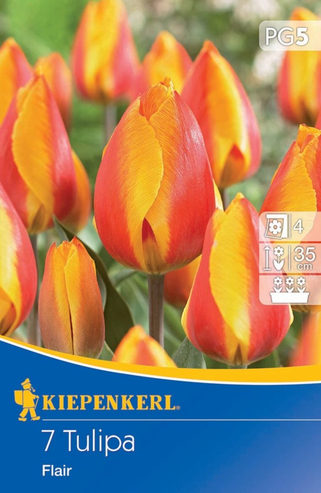 Levně 507807/8501 Tulipány Flair 7ks