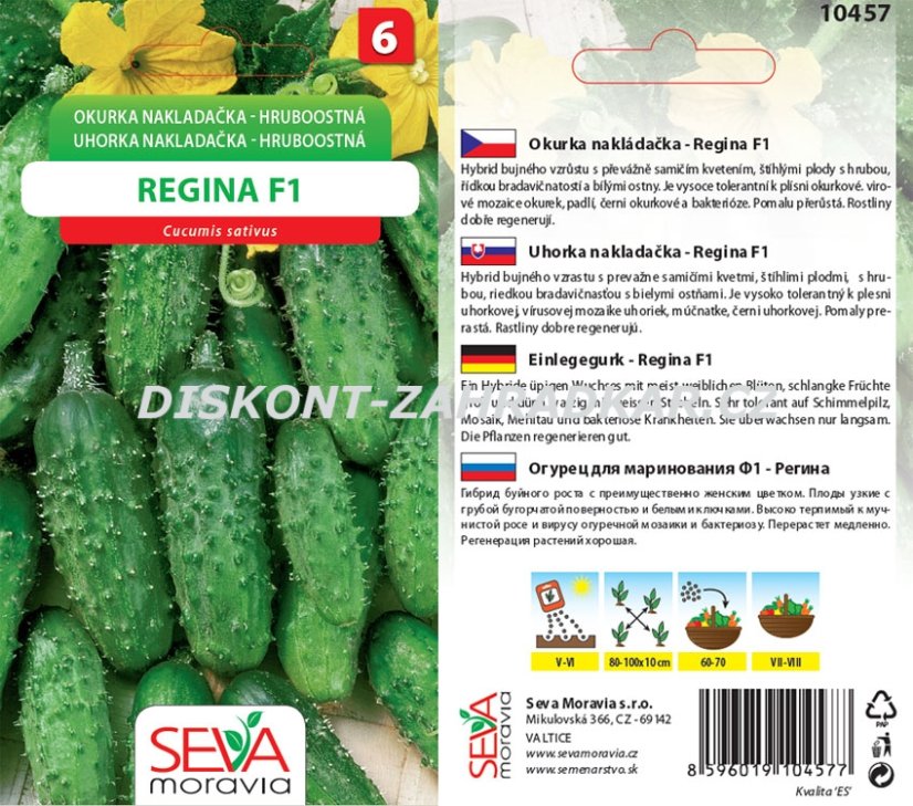 10457 Okurky F1 Regina 1g / 1710 10457 Okurky F1 Regina 1g / 1710