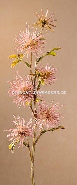 Dry Mini Xanthium 53 cm růžová F258-P Dry Mini Xanthium 53 cm růžová F258-P