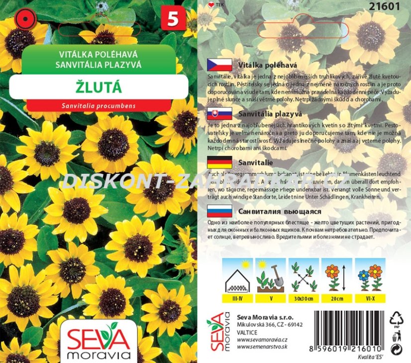 21601 Vitálka poléhavá žlu. s tm. stř. 0,3g / 4311