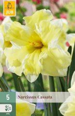 850498/7601 Narcisy Cassata 5ks