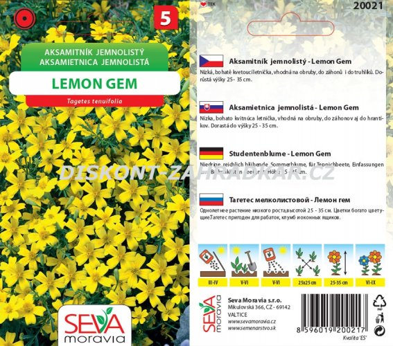 20021/4210 Aksamitník Lemon Gem 0,2g