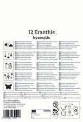 2775010/8402 Talovín zimní 12ks