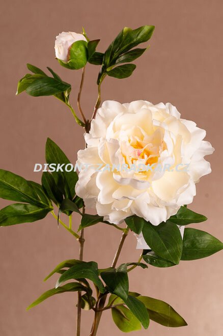 Pivoňka 68 cm bílá F390-W