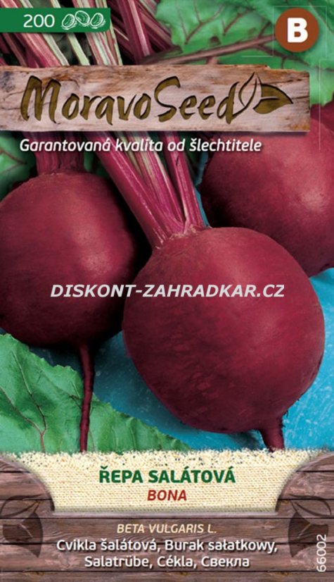 35182 (66002) Řepa salátová Bona 4g