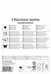 2450020/7701 Narcisy Geranium 5ks