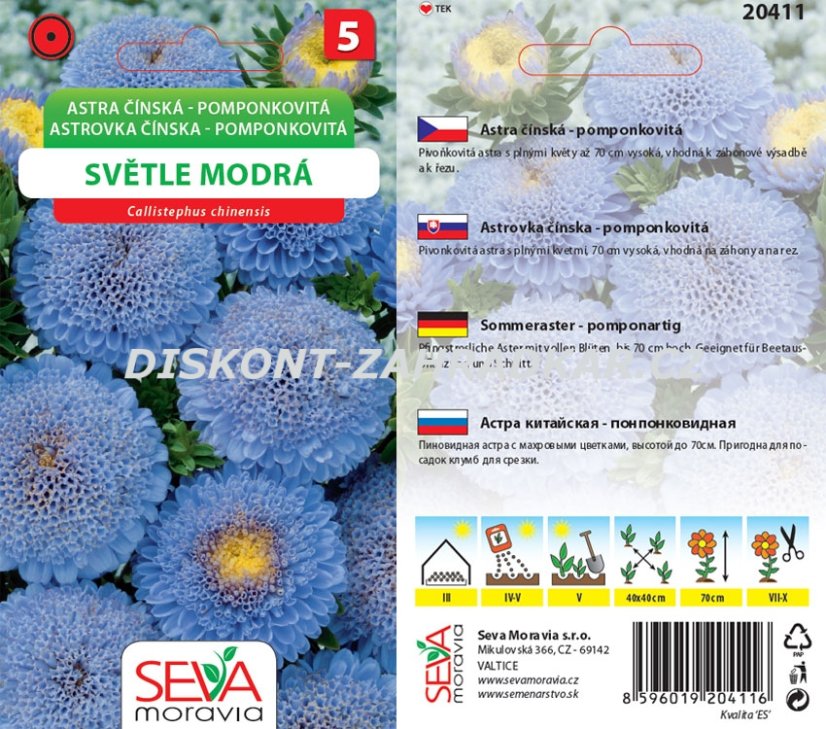 20411 Astra pomponkovité sv. modrá 0,4g /D150
