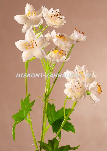 Divoká květina 42 cm bílá F395-W