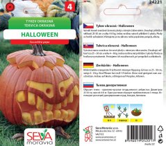 24221 okrasná tykvička Halloween 10s /D50