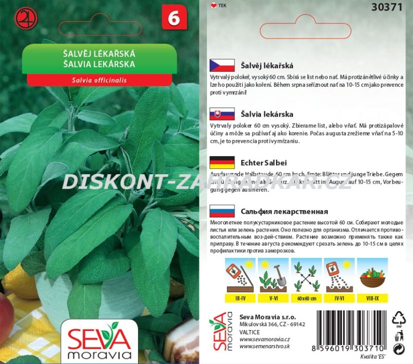 30371 Šalvěj lékařská 0,6g / 3703