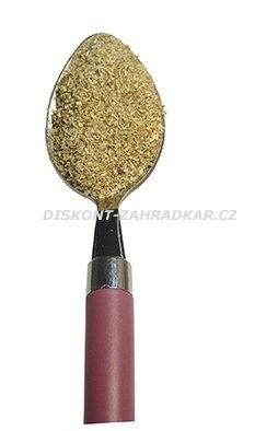 Hlíva sušená 100g