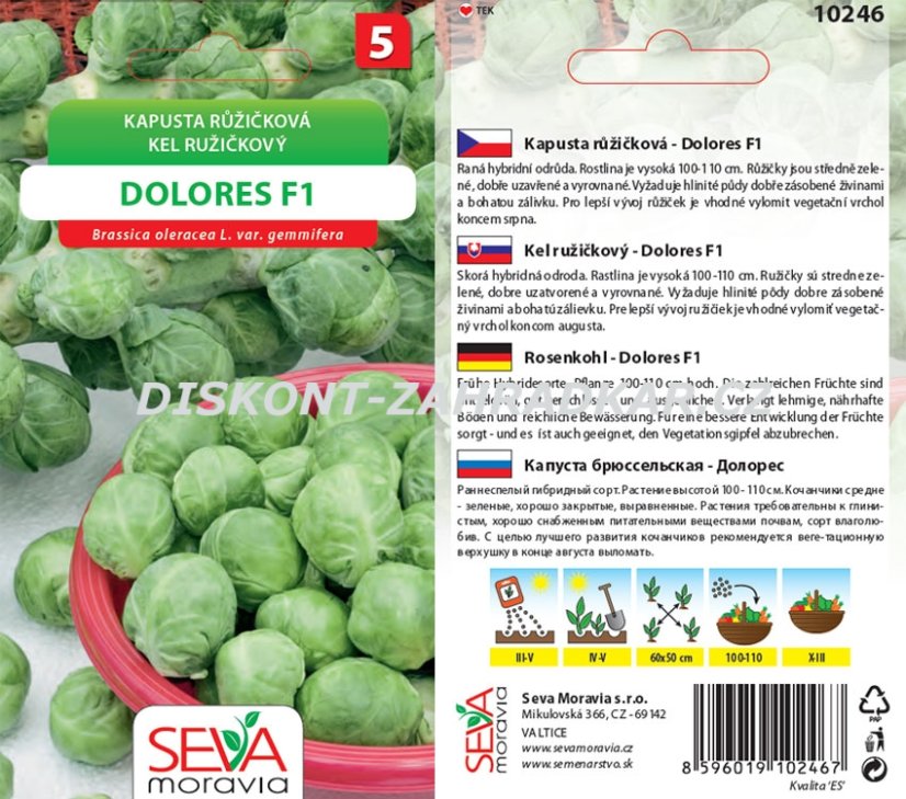 10246 Kapusta F1 Dolores 0,2g / 1208