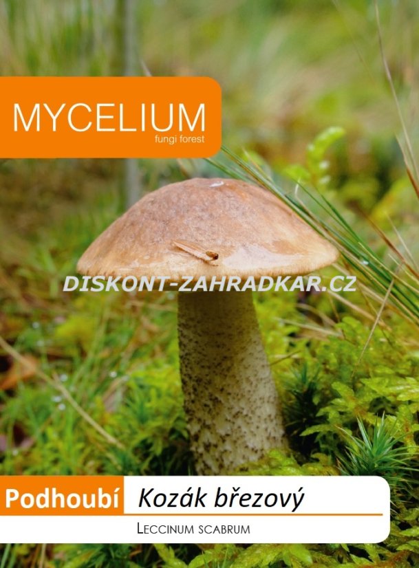 Kozák březový 10g - podhoubí