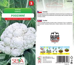 10345 Květák podzimní 0,4g / 1409