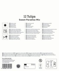 2875032/99 Směs tulipánů Romantický ostrov 12ks