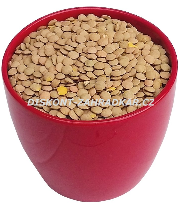 Čočka zelená 1kg