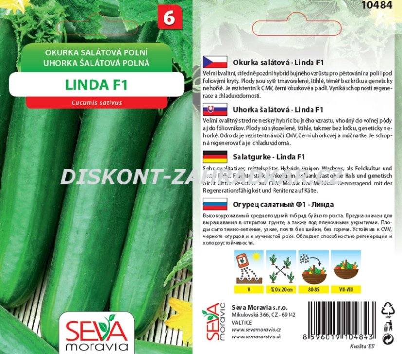 10484 Okurka F1 Linda 1g / 1904