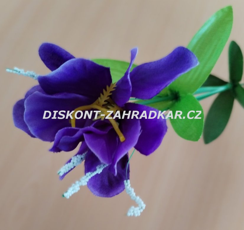 Iris (kosateček) fialový
