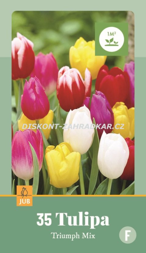 852936/8605 Tulipány Triumph směs 35ks