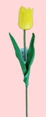 Tulipán G93-08 žlutý