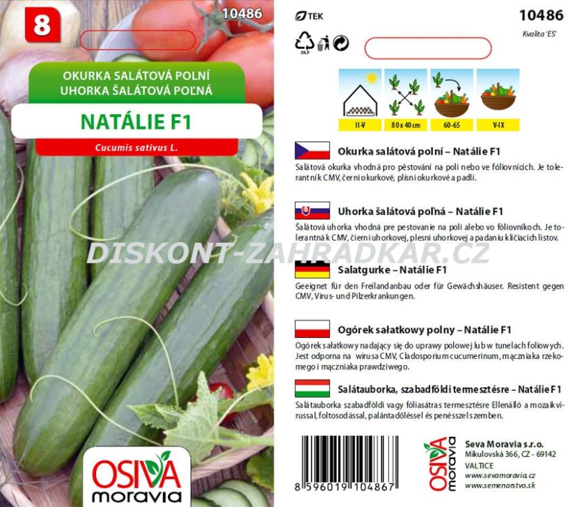 10486 Okurky F1 Natalie 1g / 1905