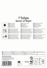 2000038/8604 Tulipány Queen of Night 7ks