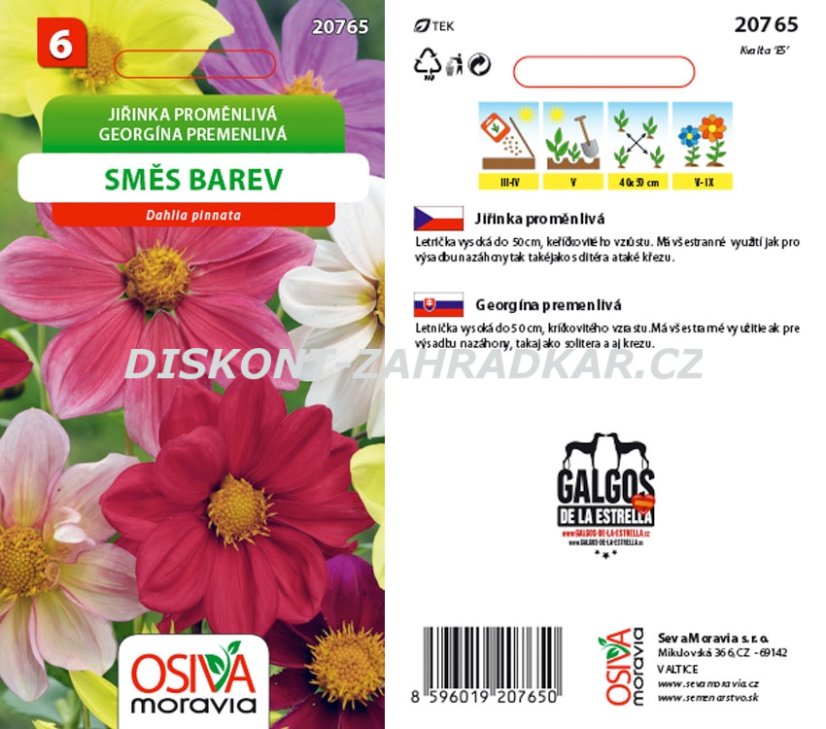20765 Jiřinka proměnlivá směs barev 0,8g / 4201