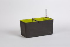 Truhlík Berberis 40 cm Antracit + zelená