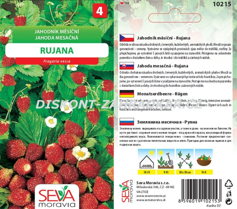 10215 Jahodník Rujana 0,2g / 1205 10215 Jahodník Rujana 0,2g / 1205
