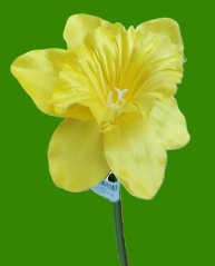 Narcis SUN410 žlutá