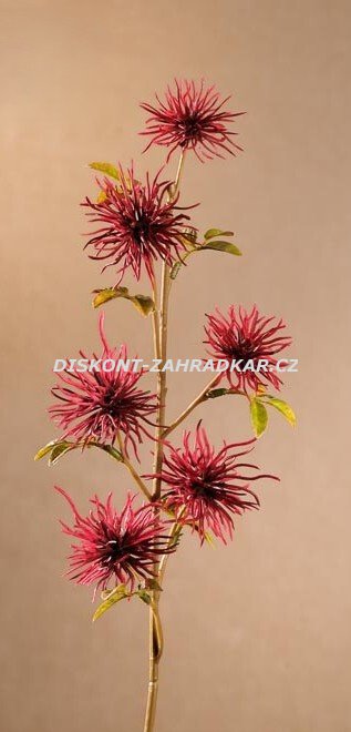 Dry Mini Xanthium 53 cm červená F258-R