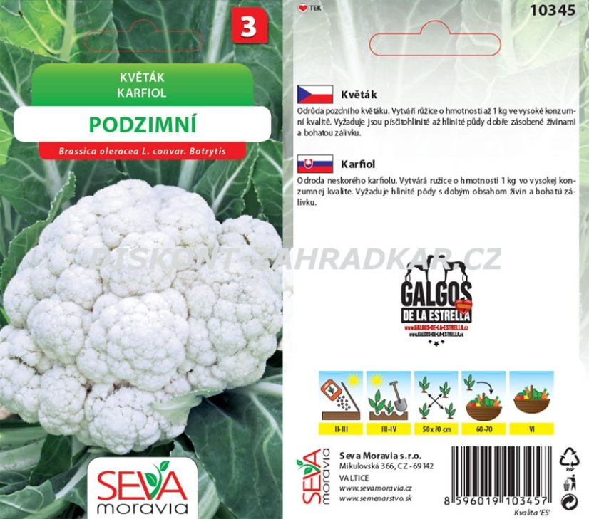 10345 Květák podzimní 0,4g / 1409