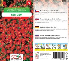 20031 Aksamitník Red Gem 0,2g / 3810