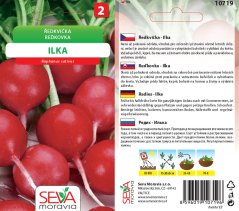 10719 Ředkvička Ilka 5g / 2801