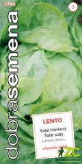 37402 Salát celoroční Lento 0,5g / 3108
