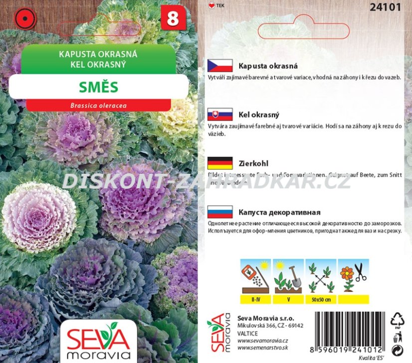 24101 Kapusta okrasná směs 0,4g / 3710