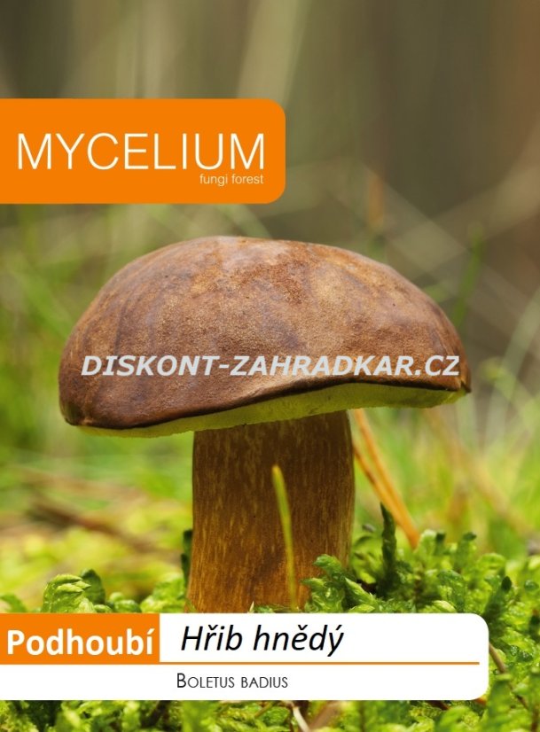 Hřib hnědý 10g - podhoubí