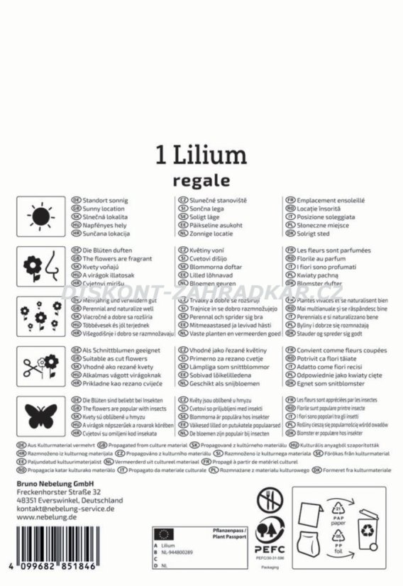 2750004/7504 Lilie Regale 1ks