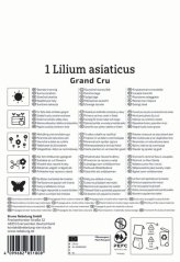 2750000/7503 Lilie Grand Cru 1ks