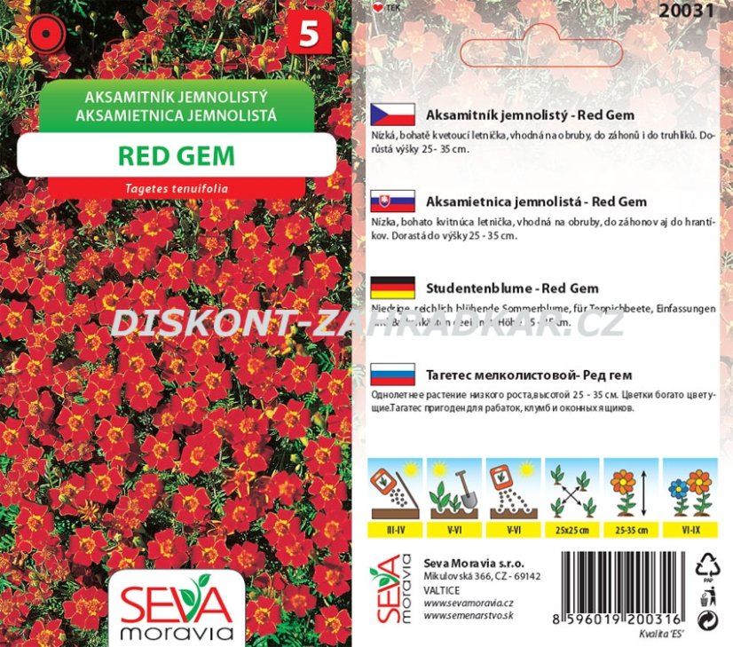 20031 Aksamitník Red Gem 0,2g / 3810