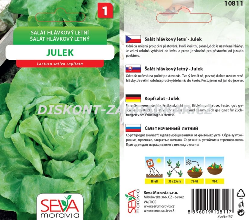 10811 Salát Julek 0,5g / 3105