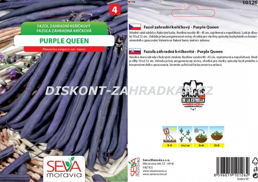 Fazol keříčkový Purple Queen 250g ZAHRADNICKÉ BALENÍ